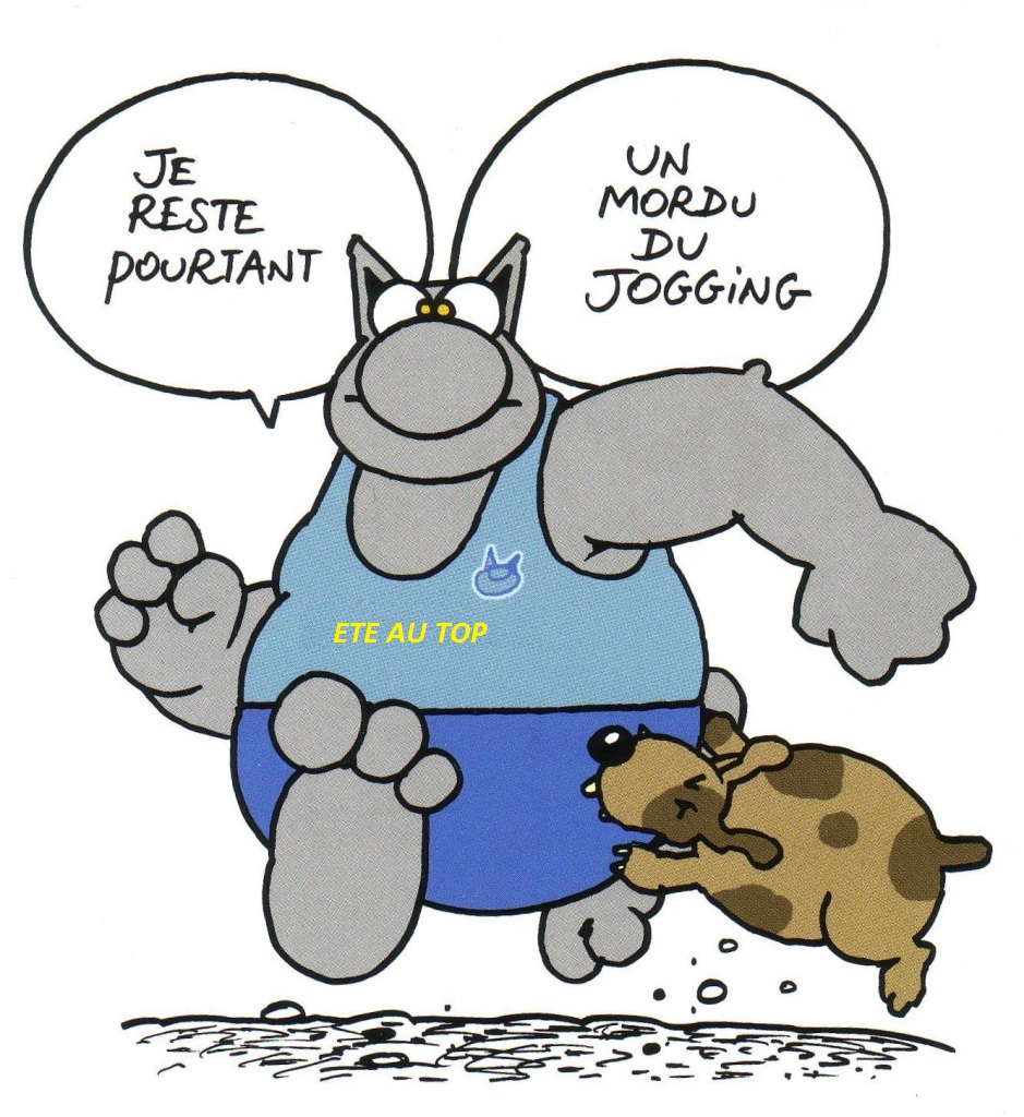 Le Chat